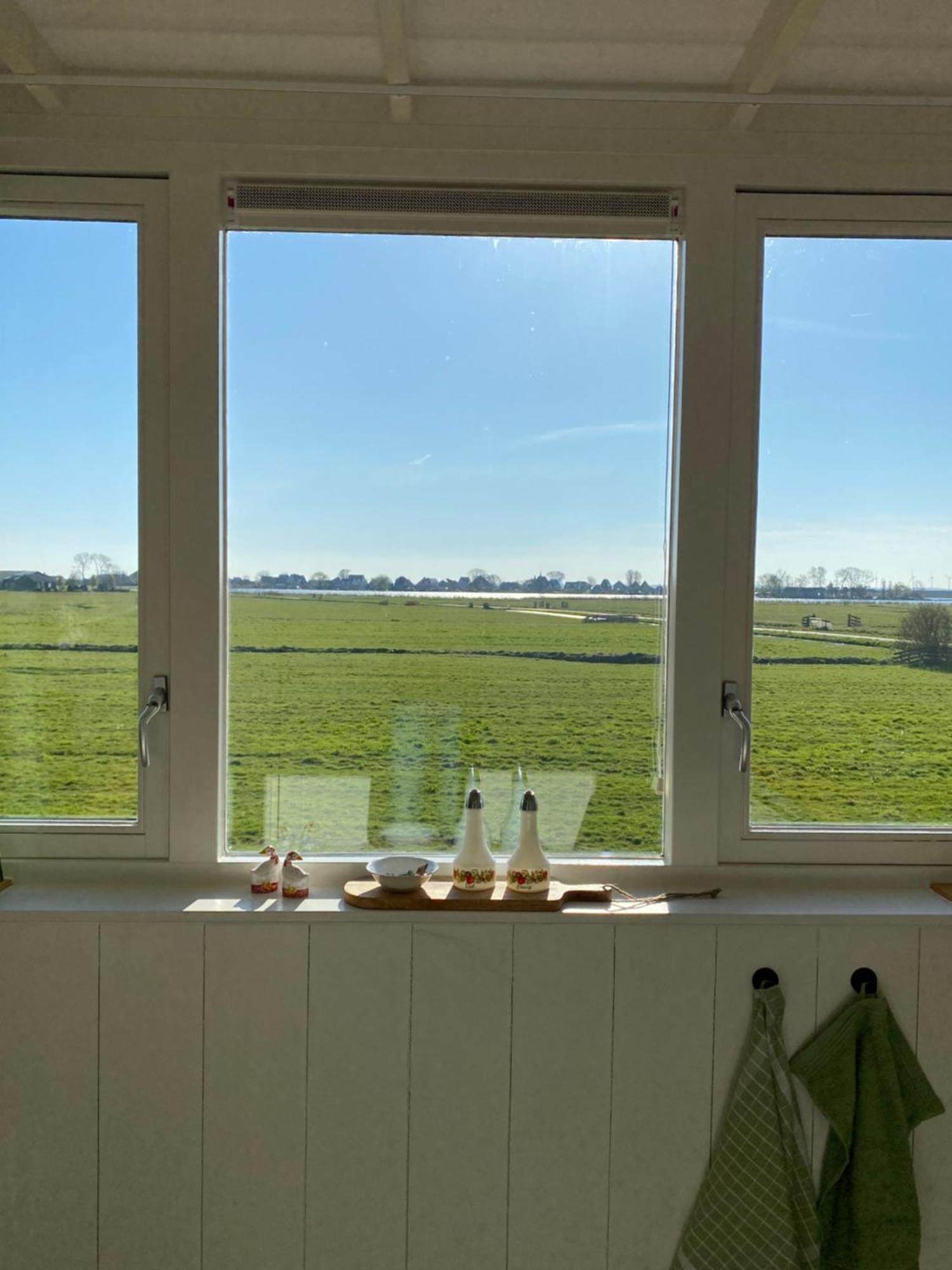 Amsterdam Garden Studio Uitdam Kültér fotó